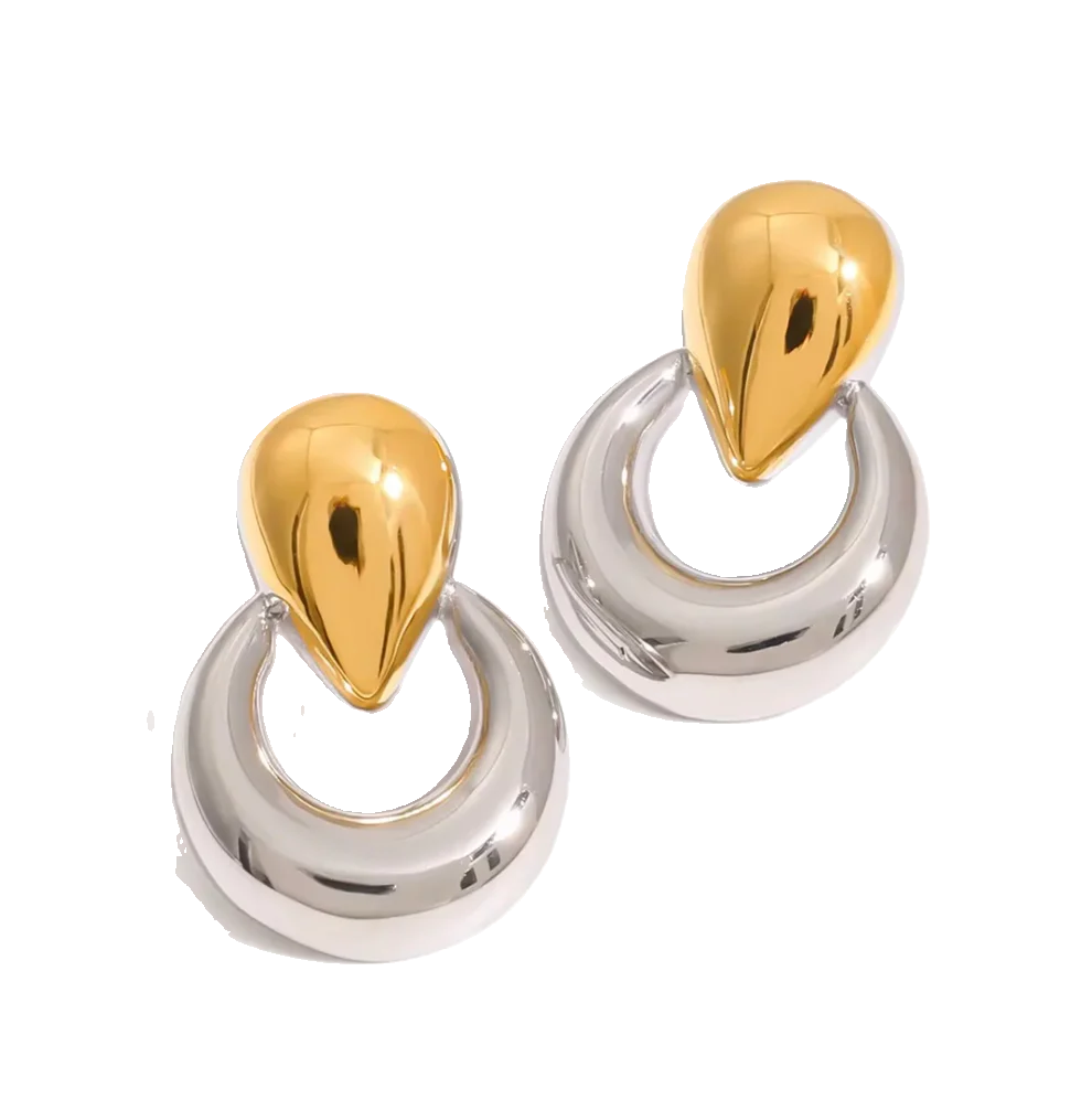 Two tones Earrings