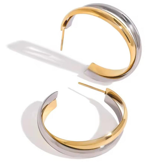 Silver & Gold Hoops