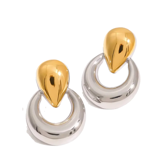Two tones Earrings