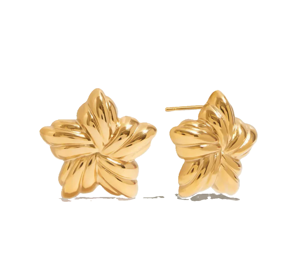 Gold Star Stud Earrings